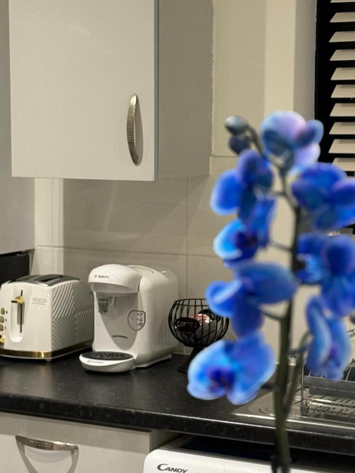 Cosy 2br Flat Excellent Location Londra